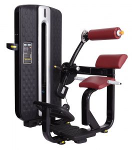 Máy tập cơ bụng MDM-009