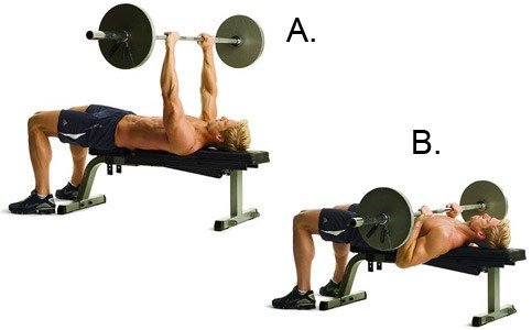 các bài tập ngực hiệu quả nhất