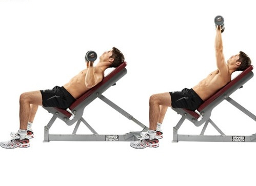 các bài tập Gym
