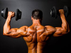 các bài tập gym