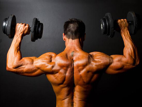 các bài tập gym