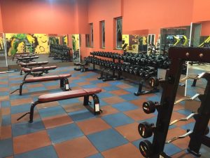 Setup phòng gym 500m2, 1 tỷ
