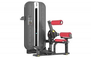 Máy tập lưng XLY0910-A
