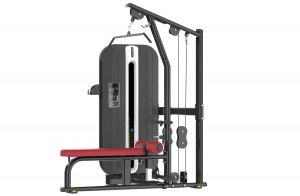 Máy tập xô 2 chức năng XLY12-A