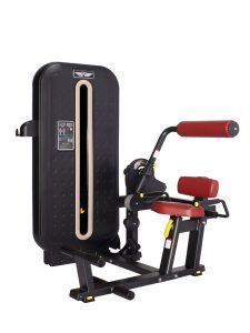 Máy tập lưng dưới MS FITNESS M8F-009