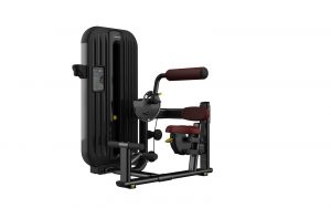 Máy tập bụng T8-010