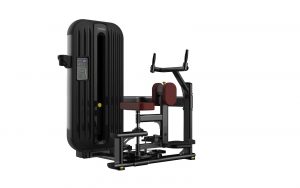 Máy tập xoay eo T8-011