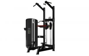 Hít xà trợ lực T9-008