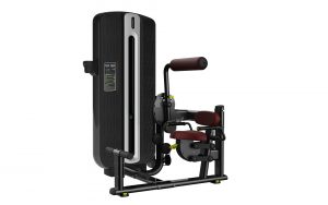 Máy tập lưng T9-009