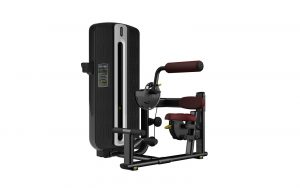 Máy tập bụng T9-010