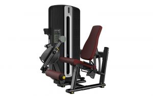 Máy đá đùi trước T9-014
