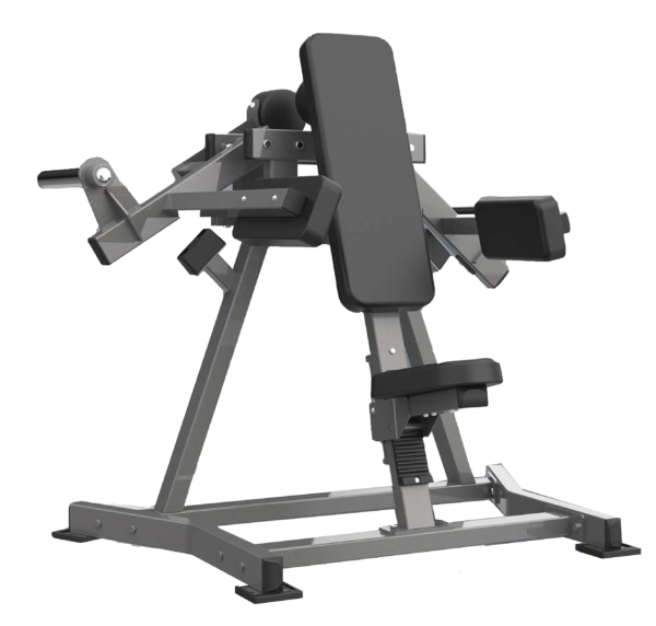 lateral raise v6