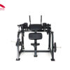 robo gập bụng v15