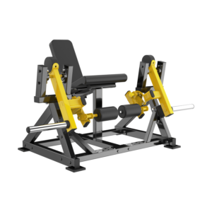 lateral leg extension