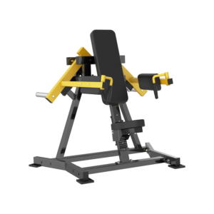 lateral raise