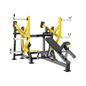 máy tập lưng dưới iso lateral back extension