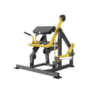 seated biceps