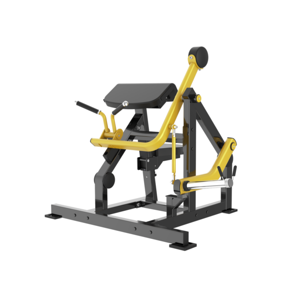 seated biceps