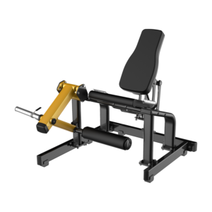 seated leg extension