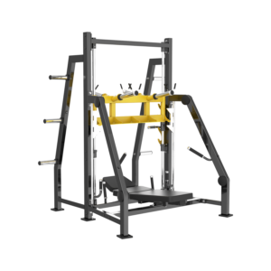 v24 vertical leg press