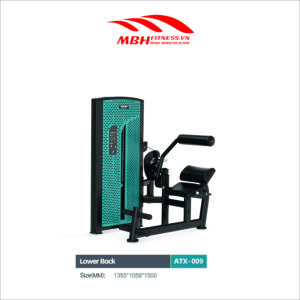 Máy tập lưng dưới ATX-009
