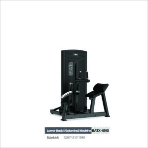 Máy tập bụng/lưng dưới BATX-0910