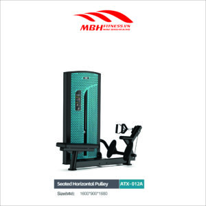 Máy tập lưng ATX-012A