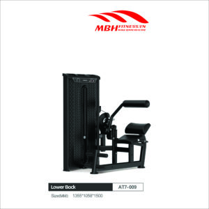 Máy tập lưng dưới AT7-009